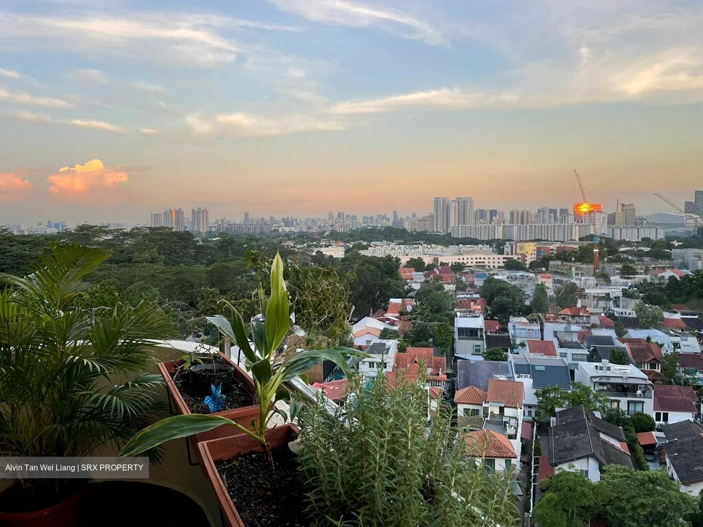 Allsworth Park (D10), Condominium #509969091